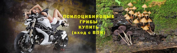 кокаин колумбия Белокуриха